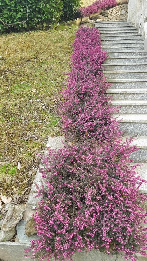 Apartment Sentiero Valtellina